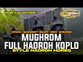 Download Lagu MUGHROM FULL HADROH KOPLO | CEK SOUND HADROH FULL BASS VIRAL TIKTOK TERBARU YANG KALIAN CARI !!!