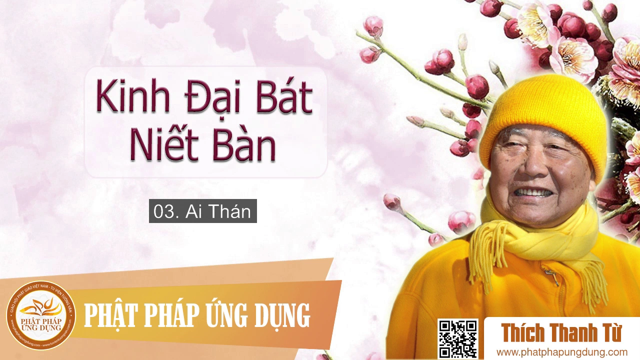 03 - Ai Thán - Thiền Sư Thích Thanh Từ giảng 