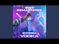 Download Lagu VODKA (2025 REMASTERED)