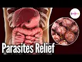 Download Lagu Parasieten Relief Frequentie | Binaurale beats | Weg met vervelende wormen, staartvinnen en andere