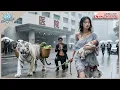Download Lagu Pregnant Wife Sold For Organs By Husband Save Mistress—Survived, Returned As Billionaire For Revenge