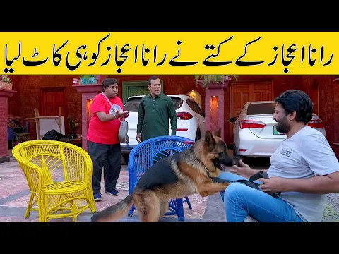Download MP3 Standup Comedy By Rana Ijaz | Rana Ijaz New Video | New Dog Video Part 02 | #ranaijaz #comedy #funny