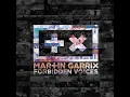 Martin Garrix - Forbidden Voices (Extended Mix)
