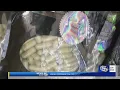 I-10 traffic stop leads to drug bust in Baldwin County
