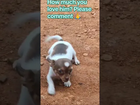 how much you live him?