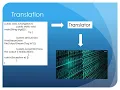 Translators