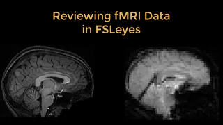 fMRI Short Course Reviewing fMRI Data with FSLeyes