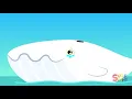 Whale Sneeze