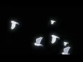 gabriel jacoby - lets talk about it (slowed + reverb)