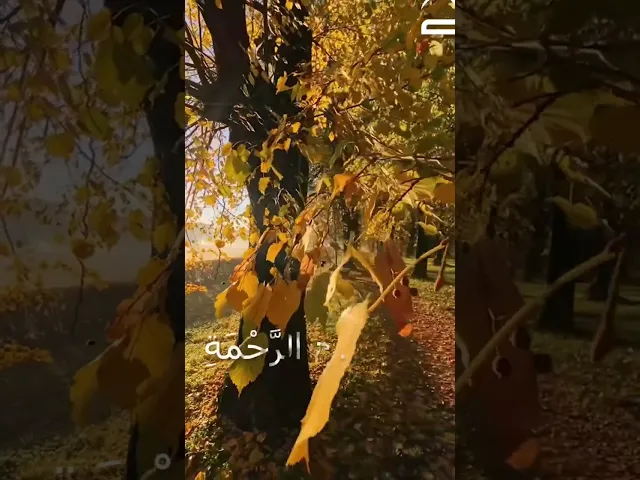 ⁣#دعاء_الصباح وَافْتَحِ اللَّهُمَّ لَنَا مَصَارِيعَ الصَّبَاحِ بِمَفَاتِيحِ الرَّحْمَةِ وَالْفَلاحِ