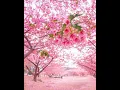 Download Lagu Seni soginib ketdim bahor