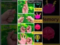 Brain Exercises