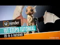 Sum Up - U-RENDER First Steps