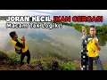 Joran Kecil, Tapi Dapat Ikan BESAR GIL4, Macam Tak Logik‼️- EP425