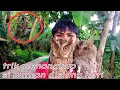 Download Lagu trik menangkap burung hantu disiang hari poin 2 ekor mantap