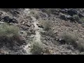 Cyclist finds missing hiker dead on South Mountain trail