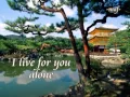 Download Lagu Eddie Peregrina --- HERE'S MY HAPPINESS with Lyrics