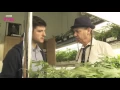 The World s Largest Cannabis Dispensary - Cannabis What s The Harm