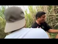 Download Lagu PETUALANGAN NGENEIKI NEK URONG DI TOTOL ULO URONG PODO KAPOK ! 😭🤣🌪🔥❌️