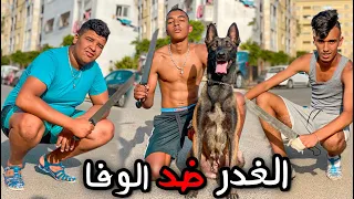 فيلم قصير وفاء الكلاب و غدر الاصدقاء 