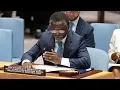 Download Lagu De situatie in de Centraal-Afrikaanse Republiek - Parfait Onanga-Anyanga (MINUSCA)