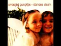 The Smashing Pumpkins - Siamese Dream - Today