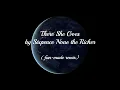 There She Goes (fan-made remix)