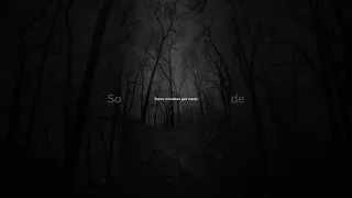 Ashe Moral Of The Story Lyrics Aesthetic Slowed English Songs Trending Song Ashe 