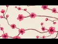 3 Hour Cute Aesthetic Pattern Sakura Cherry Blossom Flower for Relaxing TV Pinterest Vibes 4K