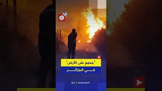 جحيم على الأرض   حرائق الغابات في الجزائر تحصد عشرات الأرواح دندنها