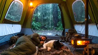 Caught in Rainstorm With My Dog! - Hot Tent Camping in Heavy Rain. Bushcraft Survival Skills