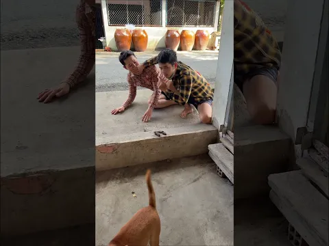 Nhiệm vụ bất thành 😂