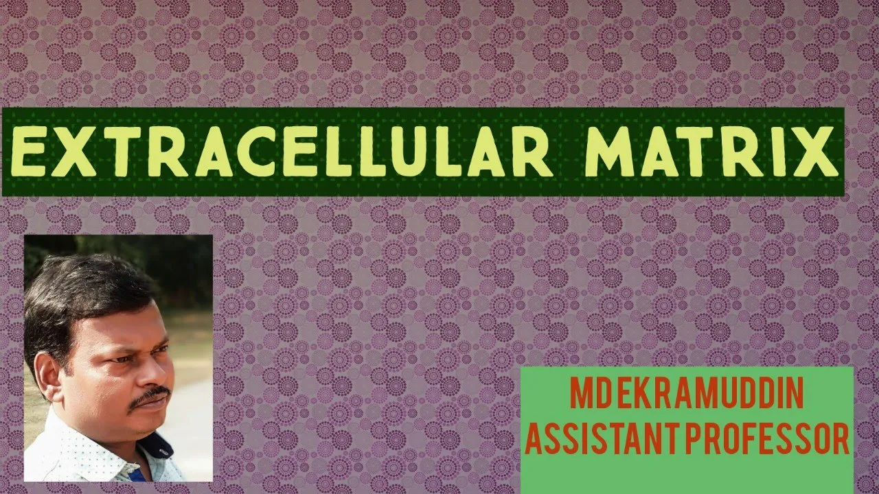 EXTRACELLULAR MATRIX/cell biology