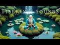 Download Lagu Remove All Negative Energy - Tibetan Healing Flute - No Thoughts, No Stress, Just Peace