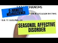 2-Minute Neuroscience: Seasonal Affective Disorder
