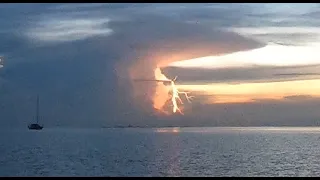 Ep. 310 My octopus teacher – how I taught her a thing or 2