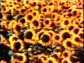 U2  | "Most Wanted" | MTV Commercial | 1992 | ZOO TV Tour | Bono | The Edge | A. Clayton | L. Mullen