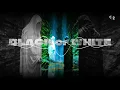 Lagu BLACK or WHITE | Michel Jackson DJ Mix Revealed