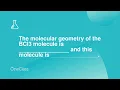 The molecular geometry of the BCl3 molecule is -