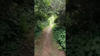 Https A Co D 0IZzPmT 