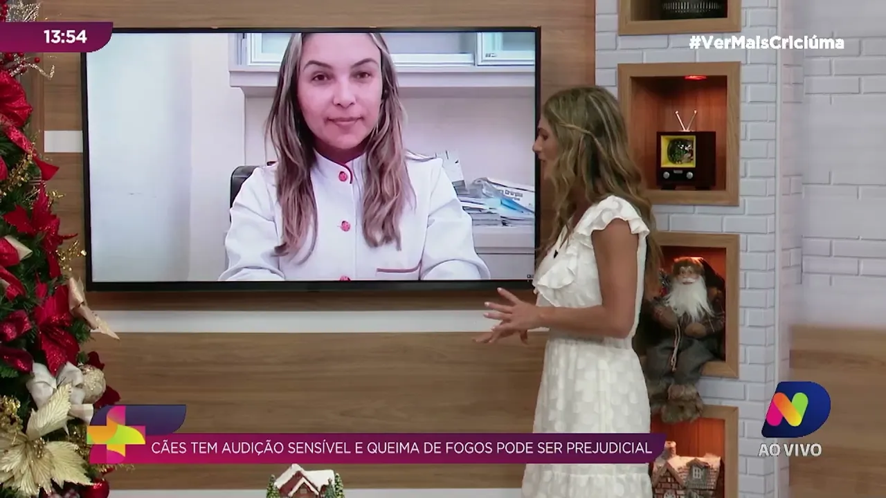 Cães e gatos têm audição sensível e queima de fogos de artifício pode ser prejudicial à eles