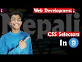 CSS Selectors Learn Web Development Course