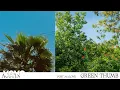 Post Malone - Green Thumb