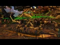 Ark Survival Dodorex kill on server