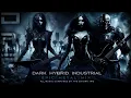 Download Lagu Dark Hybrid Industrial | Epic Metal Mix - The Enigma TNG
