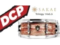 Download Lagu DCP Review: Sakae Trilogy Snare Drum 14x5.5