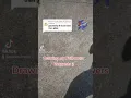 Garchomp Pokemon Chalk art drawing