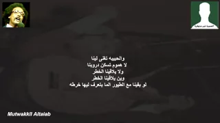 الطيور 