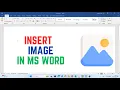 How to Insert an Image in MS Word Step-by-Step Guide for Beginners