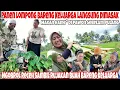 HEBOH😂 PANEN LOMPONG LANGSUNG DI MASAK‼️MASAK MAKAN BARENG KELUARGA || KEREMPONGAN TIM KOCAR KACIR 